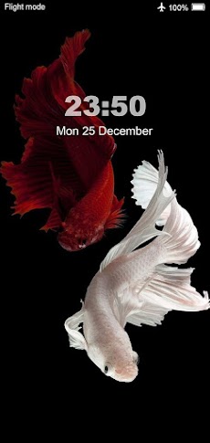 Betta Fish Wallpaper 4Kのおすすめ画像2