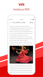 Imagen de la captura de pantalla