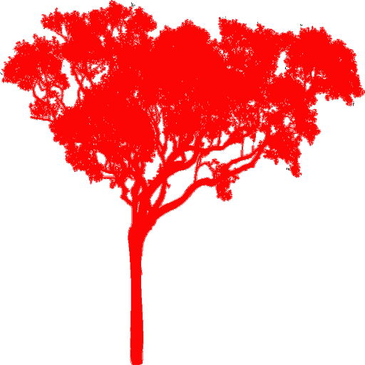 BaaqSide logo