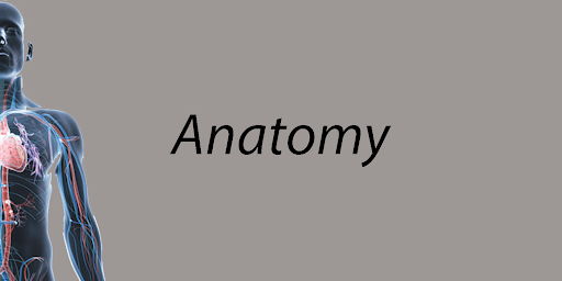 Android application USMLE Step 1 screenshort