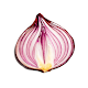 Onion Search Engine APK