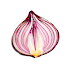 Onion Search Engine 2.5.0
