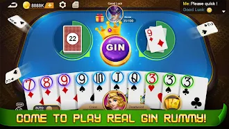 Game screenshot Gin Rummy hack