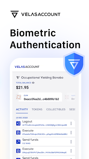 Velas Account Screen 3