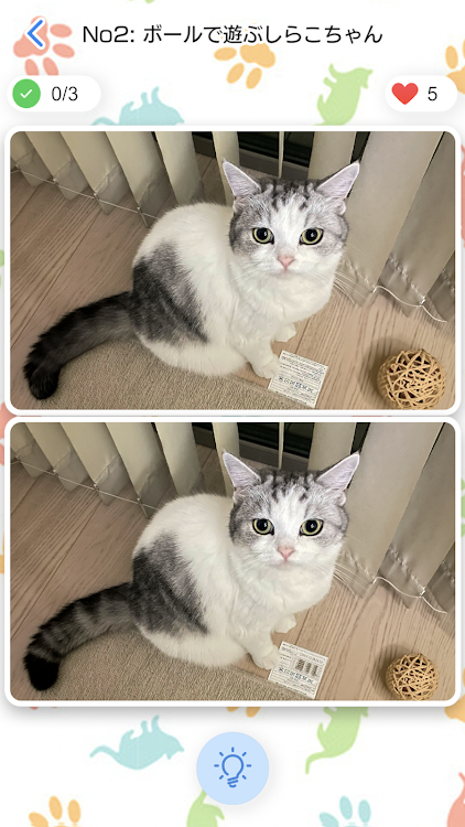 Cat Find Differences - 1.0 - (Android)
