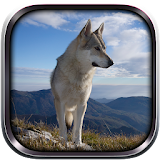 Wild Wolf Simulator 3D 2015 icon