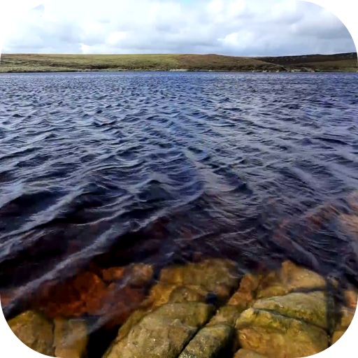Water HD Video Live Wallpaper logo