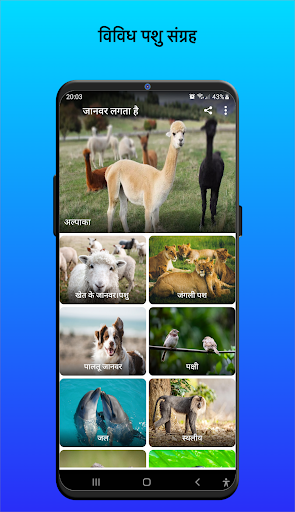 ऐप पूर्वावलोकन