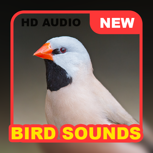Android application Bird: Sound Collections screenshort