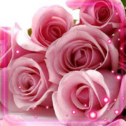Pink Roses Petals Live Wallpaper  Icon