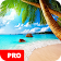 Summer Wallpapers PRO icon