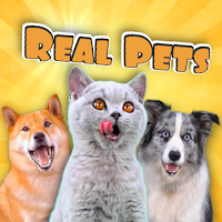 Real Pets™ by Fruwee