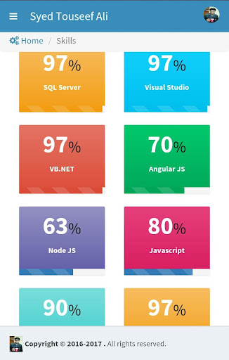 Syed Touseef Ali - CV