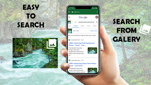 Reverse Image Search by Photo