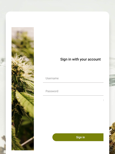 STORE WEED BE HAVING IT Screen 2