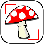 Cover Image of Download Mushroom ID Identification  APK