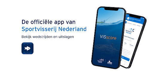 VISscore