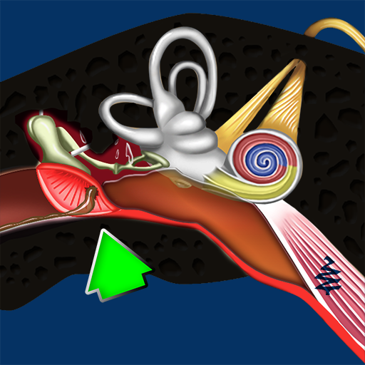 Otitis Media دانلود در ویندوز