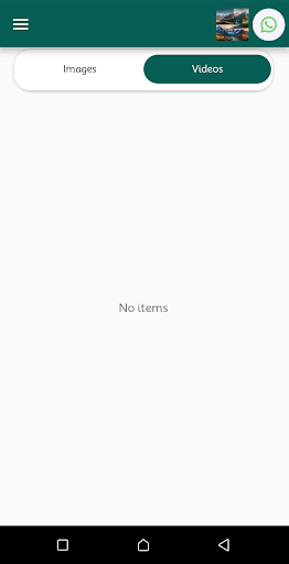 Status Downloader Screen 3