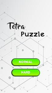 TetraPuzzle