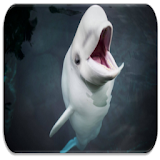 Beluga Whale sounds icon