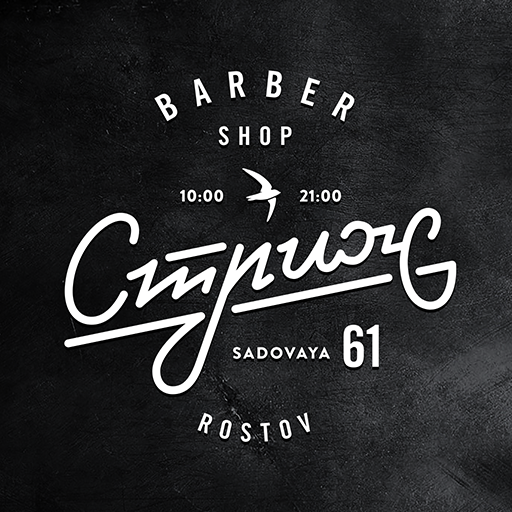 Стриж logo