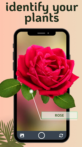 Android application VerdiVista Plant Identifier screenshort