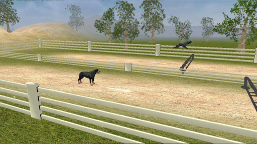 Rottweiler Dog Life Simulator