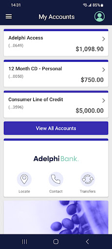 Adelphi Bank Screen 2
