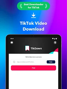 TikDown: TikTok Video Download