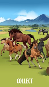 Howrse – Horse Breeding Game MOD APK v4.1.11 [Unlimited Money] 3