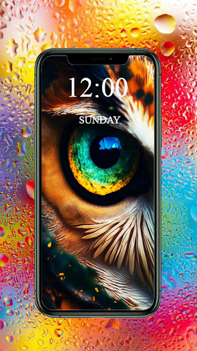 Android application Wallpaper Center 2024 screenshort