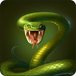 Cover Image of Tải xuống Snake Wallpapers 1.0 APK