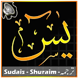 Surah Yasin & Translation Urdu icon