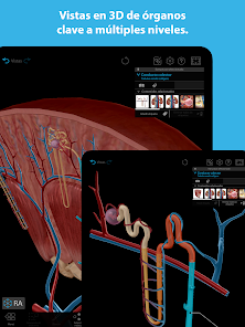 Imágen 12 Atlas de anatomía humana 2023 android