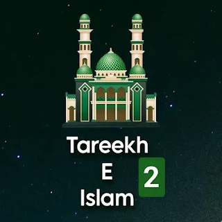 Tareekh e Islam Vol 2 ( Urdu )
