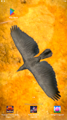 Birds Live Wallpaper Lite Screen 2