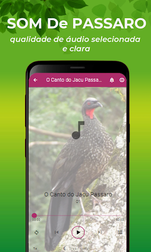 O Canto do Jacu Pássaro Screenshot 2 - AppWisp.com