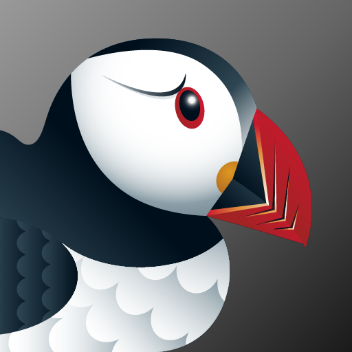 Puffin Incognito Browser  Icon