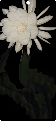 Circadian Nocturne Screen 3