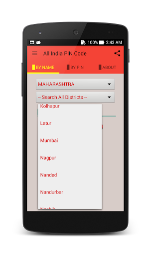 All India PIN Code Screen 2