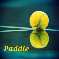 Learn to play paddle tennis wi