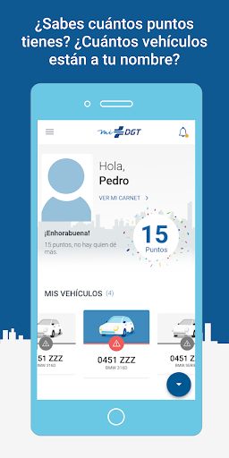 mi DGT Screen 3