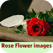 rose flower images - Androidアプリ
