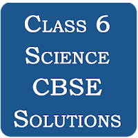 Class 6 Science CBSE Solutions