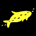 Download Bondi to Manly Walk 1.3.0 Apk for android