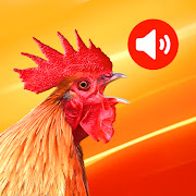 Best Alarm Ringtones 2020 mp3 for Free download
