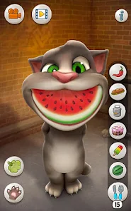 Talking Tom Cat - Apps On Google Play