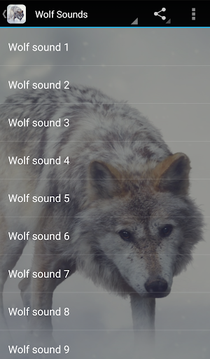 Wolf Sounds Screen 3