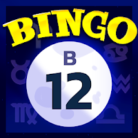 Video Bingo Malibu